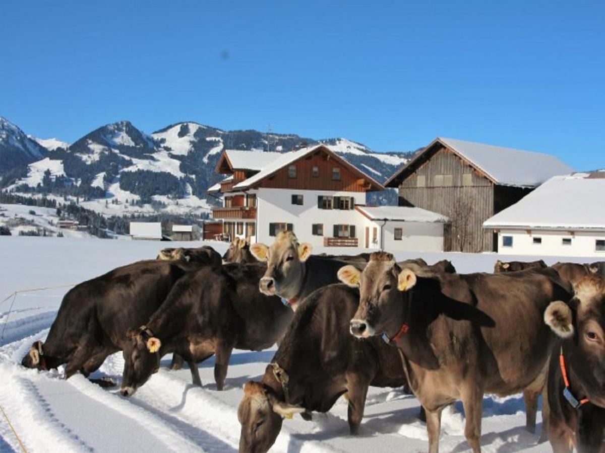 Hemerhof - Ferienwohnungen オーベルストドルフ エクステリア 写真