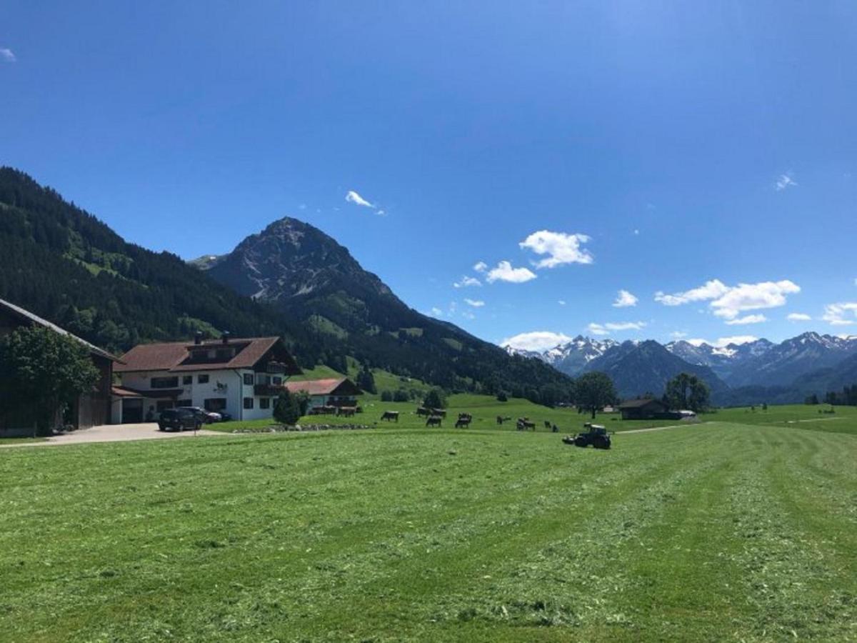 Hemerhof - Ferienwohnungen オーベルストドルフ エクステリア 写真