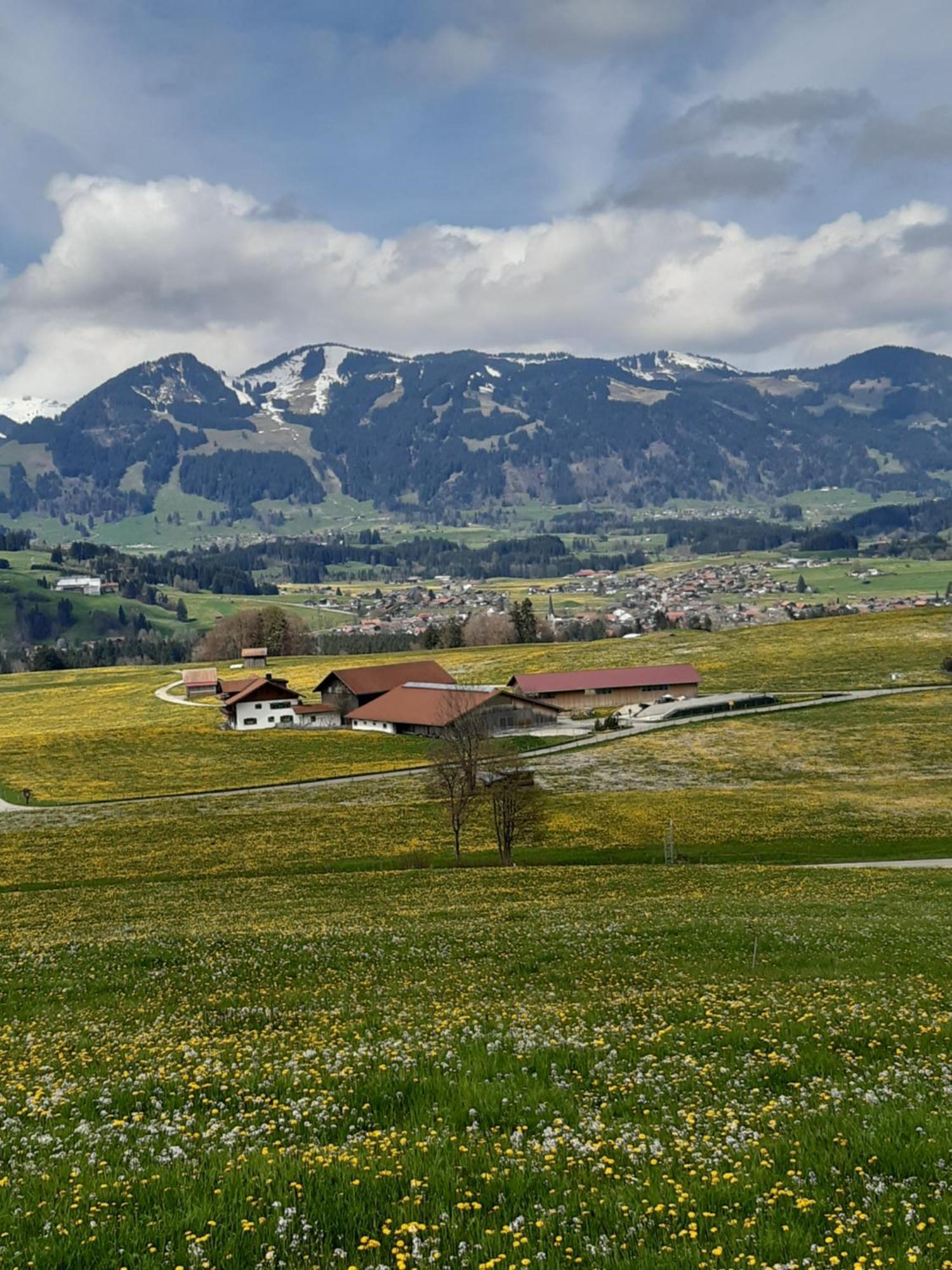 Hemerhof - Ferienwohnungen オーベルストドルフ エクステリア 写真