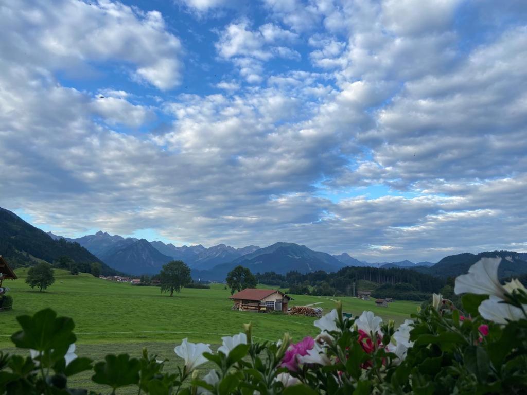 Hemerhof - Ferienwohnungen オーベルストドルフ エクステリア 写真
