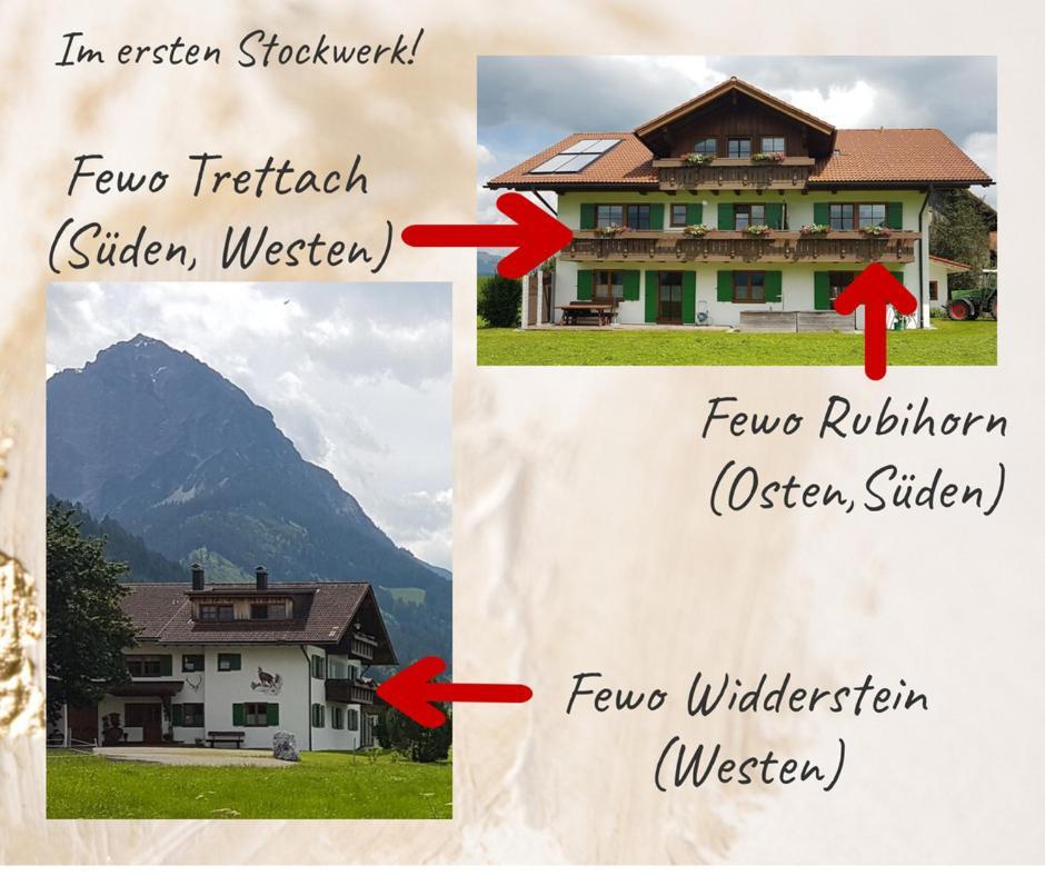 Hemerhof - Ferienwohnungen オーベルストドルフ エクステリア 写真